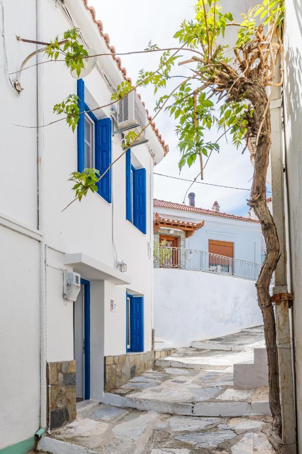 Chiarina'S Spiti Villa Skopelos Town Ngoại thất bức ảnh